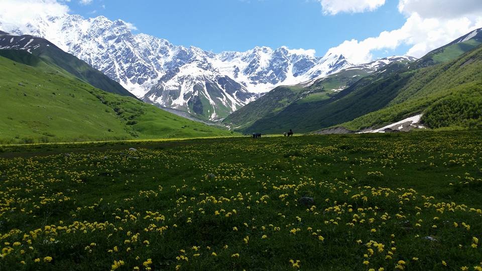 Trekking in Svaneti Shkhara valley
